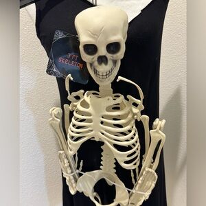 Skeleton Costume Accessory - Cream Skeleton. 3 ft long Use for teaching anatomy
